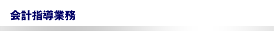 公認会計士による会計指導業務