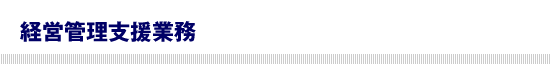 公認会計士による経営管理支援業務